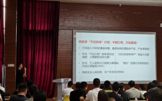 拼多多最新财报背后：真金白银推千亿扶持，笃定高质量发展战略