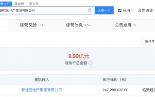 碧桂园地产被强制执行2.4亿